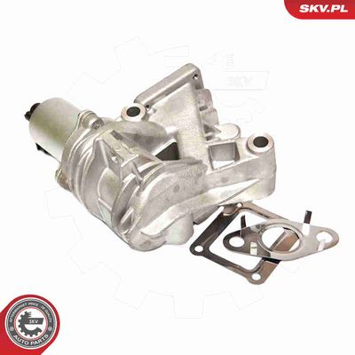 SUPAPA EGR ESEN SKV 14SKV036 6
