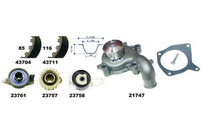 SET POMPA APA + CUREA DINTATA