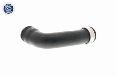 LADELUFTSCHLAUCH VAICO V102889 5