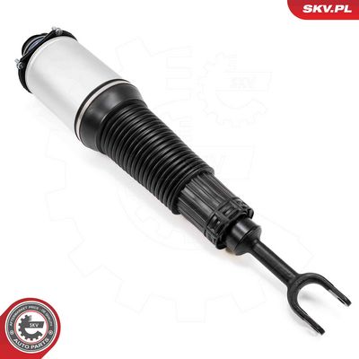 Air Suspension Strut 58SKV701