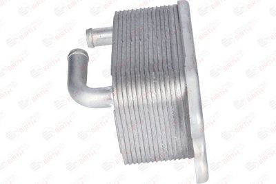 RADIATOR ULEI ULEI MOTOR BIRTH 80287 4