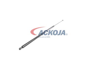 AMORTIZOR PORTBAGAJ ACKOJA A380069 53