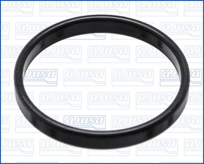 GARNITURA CARCASA TERMOSTAT