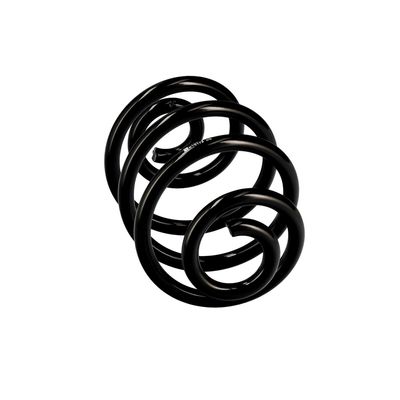 ARC SPIRAL EIBACH R10173 24