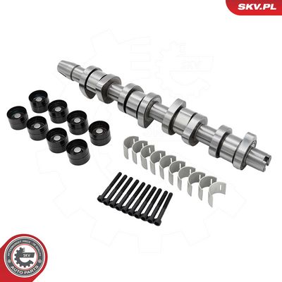 SET AX CU CAME ESEN SKV 80SKV302 1