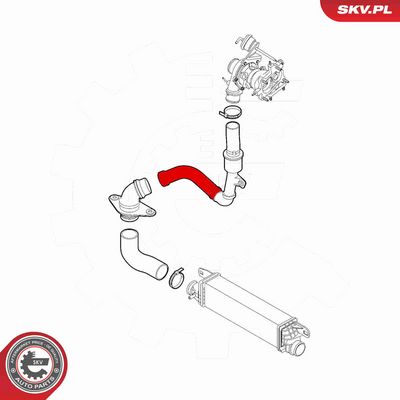FURTUN EAR SUPRAALIMENTARE ESEN SKV 43SKV246 3