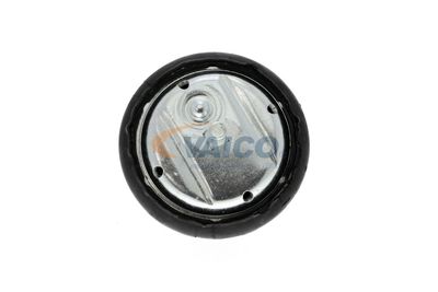 SUPORT MOTOR VAICO V2010251 47