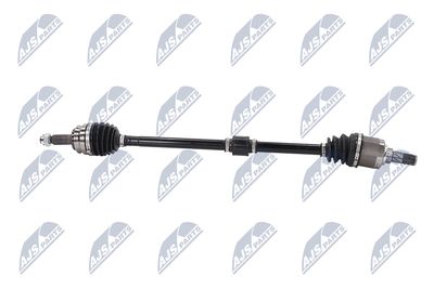 PLANETARA NTY NPWCH062 7