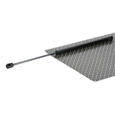 газов амортисьор, багажно/товарно пространство RIDEX 219G0360