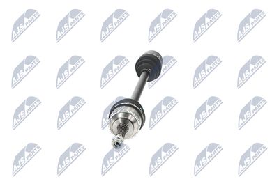 PLANETARA NTY NPWRE014 17