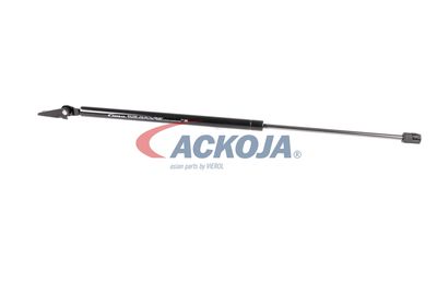 AMORTIZOR PORTBAGAJ ACKOJA A520066 12