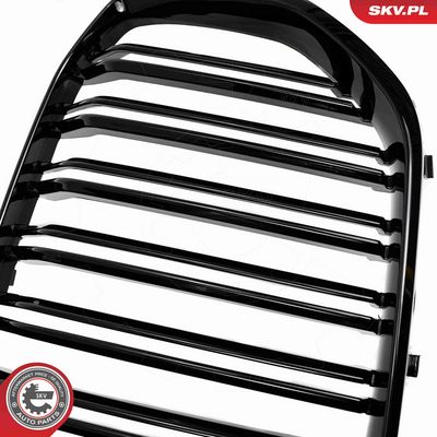 GRILA RADIATOR ESEN SKV 66SKV303 6