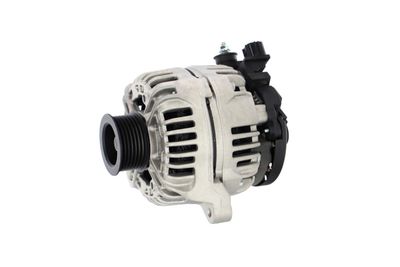 GENERATOR / ALTERNATOR REMANTE 011003000119R 11