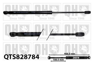 газов амортисьор, капак на двигателя QUINTON HAZELL QTS828784