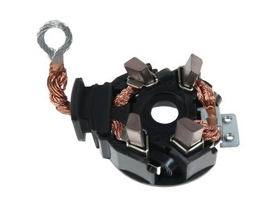 Halter, Kohlebürsten