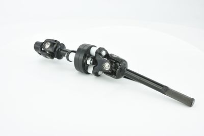 ARBORE DIRECTIE FEBEST ASSZGVSQ 32