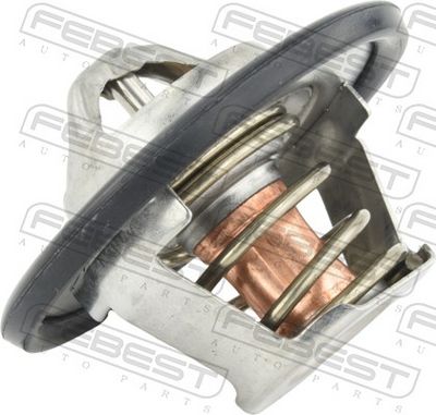 TERMOSTAT LICHID RACIRE