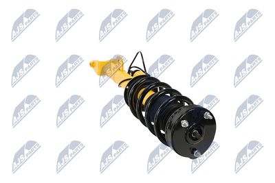 AMORTIZOR NTY ACH121 33