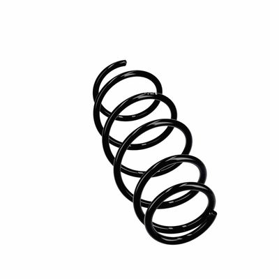 ARC SPIRAL EIBACH R11021 12