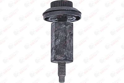 LIMITATOR ACOPERIRE MOTOR BIRTH 80969 10