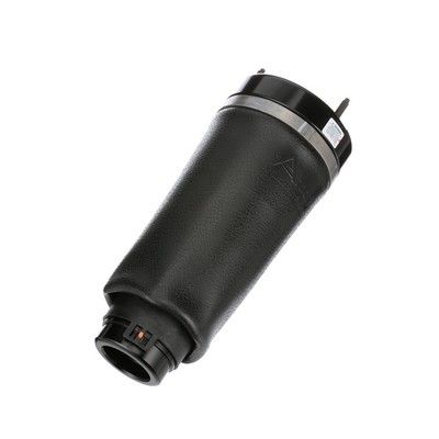 LUFTFEDER FAHRWERK Arnott A2587 72