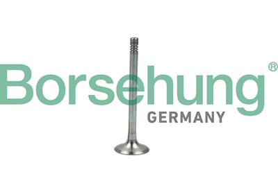 Borsehung B19005 Клапан випускний для VW (Фольксваген_)