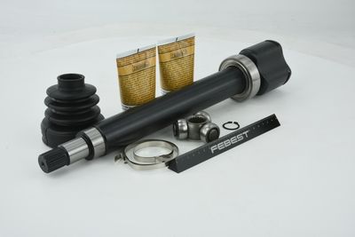 SET ARTICULATIE PLANETARA FEBEST 2111FOCIIMTRH 46