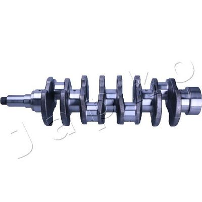 ARBORE COTIT JAPKO 8NS002