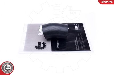 FURTUN EAR SUPRAALIMENTARE