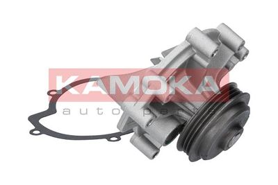 Water Pump, engine cooling T0100