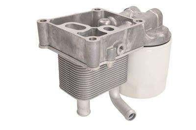 Oljekylare, motor THERMOTEC D4G016TT för FORD