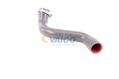 FURTUN EAR SUPRAALIMENTARE VAICO V460823 42