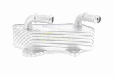 ÖLKüHLER MOTORöL VEMO V40602118 1
