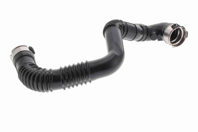 FURTUN EAR SUPRAALIMENTARE ACKOJA A380618 1