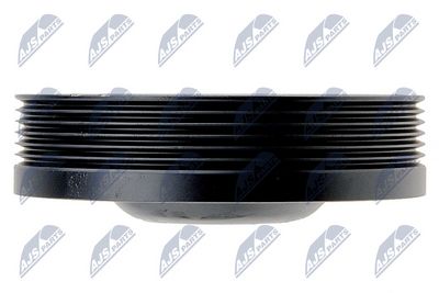 FULIE CUREA ARBORE COTIT NTY RKPRE019 2