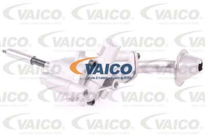 VAICO V10-0484 Масляный насос  для VW GOLF (Фольцваген Голф)