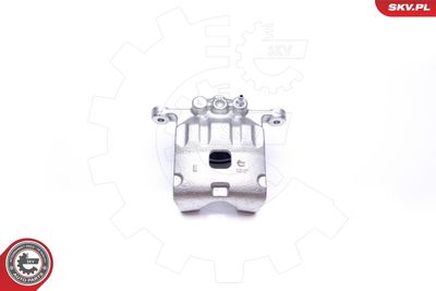 Brake Caliper 42SKV491