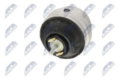 SUPORT MOTOR NTY ZPSAU035 22