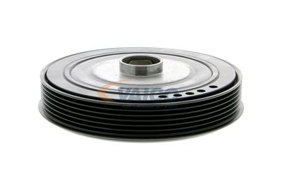 FULIE CUREA ARBORE COTIT VAICO V460814 25