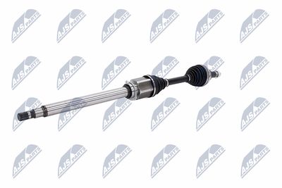 PLANETARA NTY NPWAR010 3