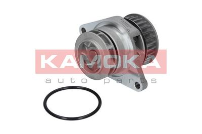 Water Pump, engine cooling T0026
