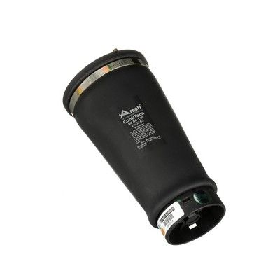 LUFTFEDER FAHRWERK Arnott A2202 56