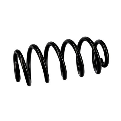 ARC SPIRAL EIBACH R10137 18