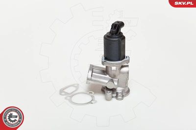 EGR Valve 14SKV039