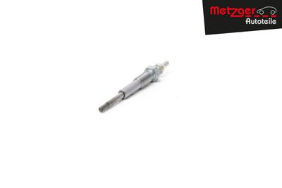 BUJIE INCANDESCENTA METZGER AUTOTEILE H1369 30