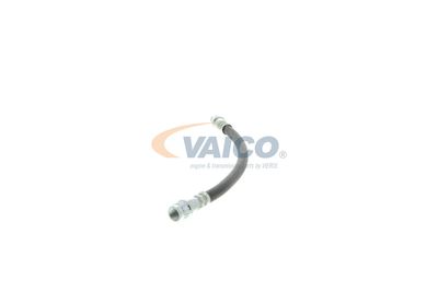 FURTUN FRANA VAICO V220148 15