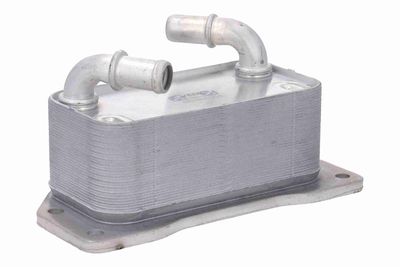 RADIATOR ULEI ULEI MOTOR