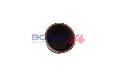 FURTUN EAR SUPRAALIMENTARE BOGAP R1711230 3