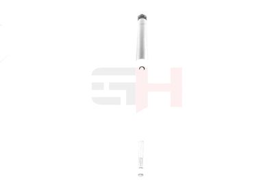 AMORTIZOR GH GH333001 18