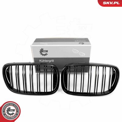 Radiator Grille 66SKV223